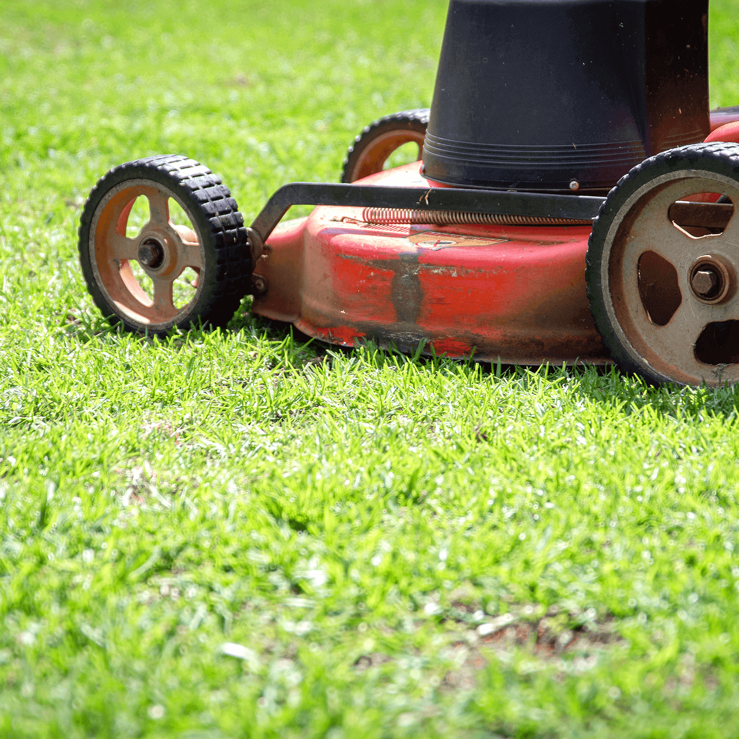 Lawn Mower on Grass